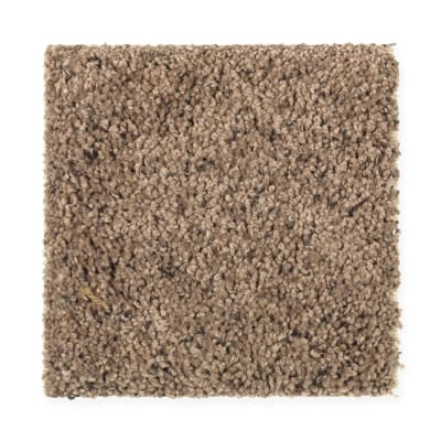 Clear Image II in Expedition - Carpet by Mohawk Flooring