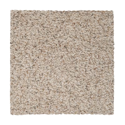 Calming State in Atrium - Carpet by Mohawk Flooring