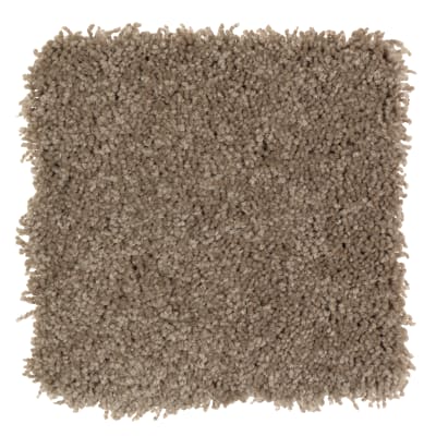 Graceful Glamour in Fallen Timber - Carpet by Mohawk Flooring