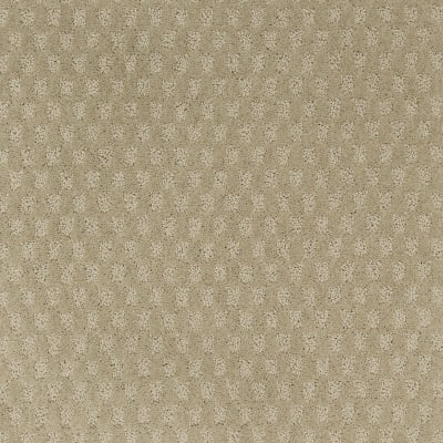 Classical Delight in Hushed Neutral - Carpet by Mohawk Flooring