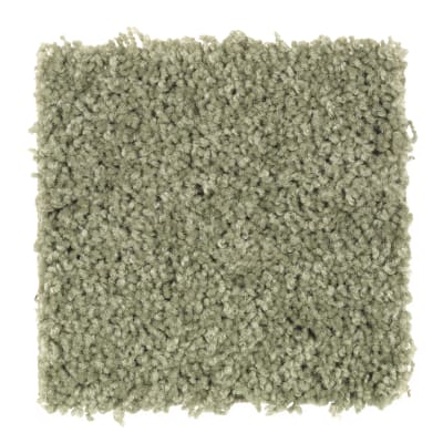 Crowd Favorite in Local Green - Carpet by Mohawk Flooring