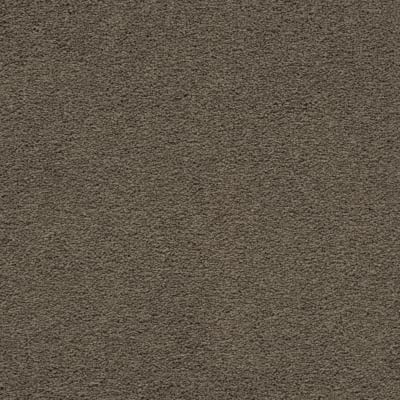 Artisan Delight in Shadywood - Carpet by Mohawk Flooring