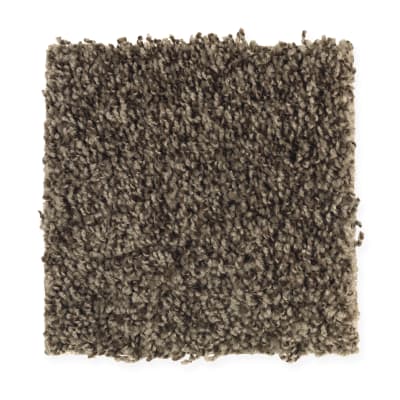 Good Times in Pine Cone - Carpet by Mohawk Flooring
