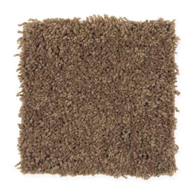 Visual Comfort in Walnut Shell - Carpet by Mohawk Flooring