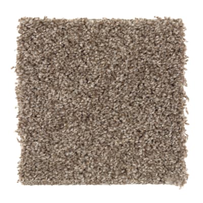 Fabric Of Life in Earth Jewels - Carpet by Mohawk Flooring