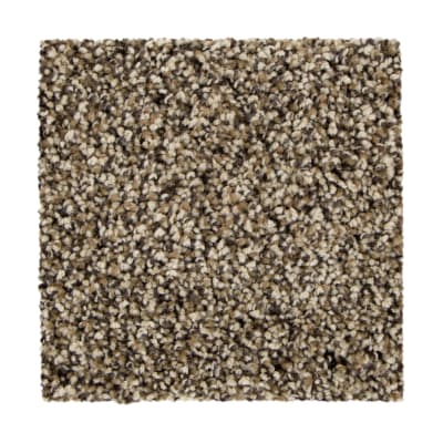 Soft Fascination II in Brown Sugar - Carpet by Mohawk Flooring