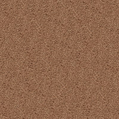 Style Renewal in Cajun Spice - Carpet by Mohawk Flooring