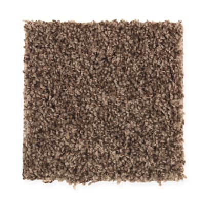 Good Times in Cigar Leaf - Carpet by Mohawk Flooring
