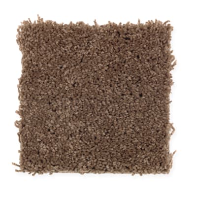 Favorite Color in Cattle Drive - Carpet by Mohawk Flooring