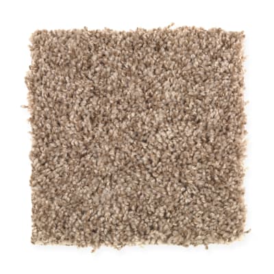 Good Times in Buckwheat - Carpet by Mohawk Flooring