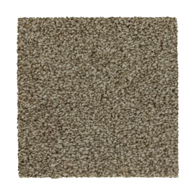 True Harmony in Yorktown - Carpet by Mohawk Flooring