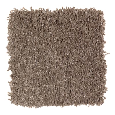 Pleasing Nature in Sapling - Carpet by Mohawk Flooring