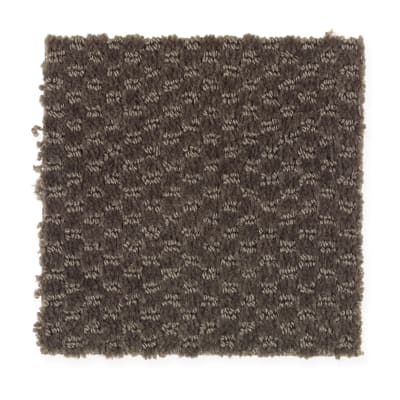 Jameson Crossing in Cigar Leaf - Carpet by Mohawk Flooring