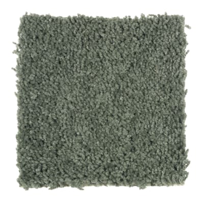 Crowd Favorite in New Forest - Carpet by Mohawk Flooring