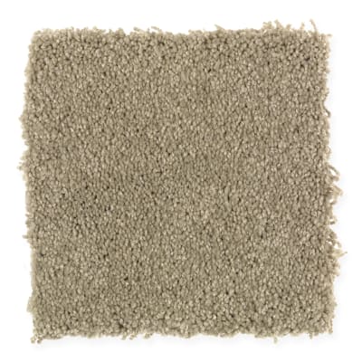 Coastal Path II in Botanical - Carpet by Mohawk Flooring