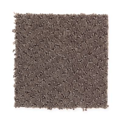 Pattern Play in Tortoise Shell - Carpet by Mohawk Flooring