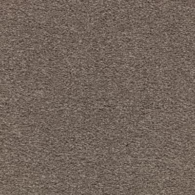 Striking Option in Grandeur - Carpet by Mohawk Flooring