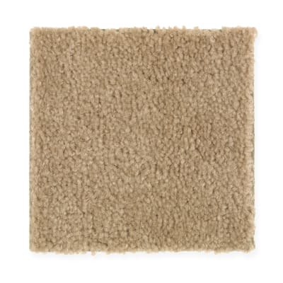 Everyday Living in Beach House - Carpet by Mohawk Flooring