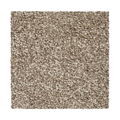 Noble Fascination in Montego - Carpet by Mohawk Flooring