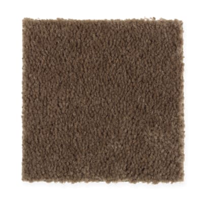 Everyday Living in Log Cabin - Carpet by Mohawk Flooring