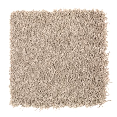 Artful Eye in Birch Bark - Carpet by Mohawk Flooring