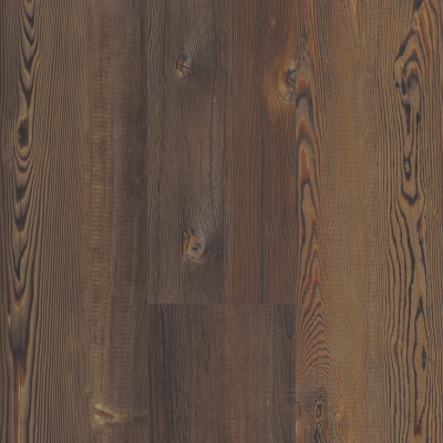 Blue Ridge Pine 720 C Hd Plus in Forest Pine - Vinyl by Shaw Flooring