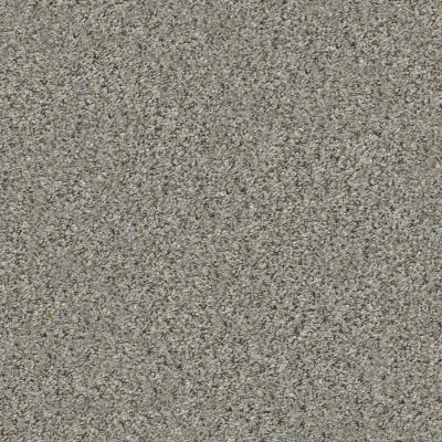 All Set I Net in Rhino - Carpet by Shaw Flooring