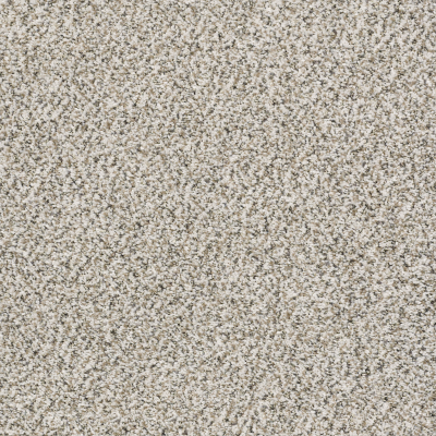 All Set I Net in Smoky Gray - Carpet by Shaw Flooring