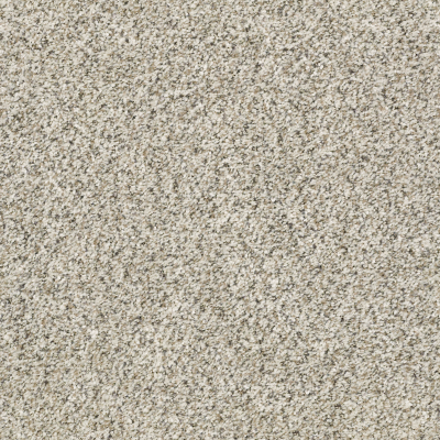 All Set I Net in Atlantic Sand - Carpet by Shaw Flooring