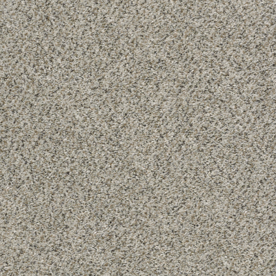 All Set I Net in Silversmith - Carpet by Shaw Flooring