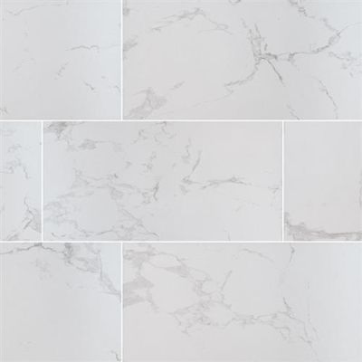 Praia in Carrara 24x48 Polished - Tile by MSI Stone