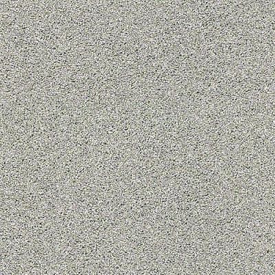Acadia Park Classic Stone Carpet 00545 Zz044 By Shaw Flooring Flooringstores