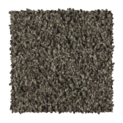 Casual Essence I in Dark Ash - Carpet by Mohawk Flooring