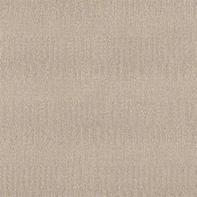 Narrative in Elegant - Carpet by Phenix Flooring