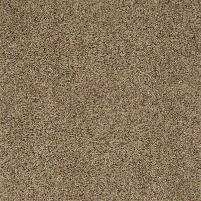 Winner's Circle (a) in White Pepper - Carpet by Shaw Flooring
