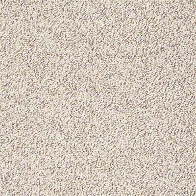 Modern Twist in Tiramisu - Carpet by Shaw Flooring