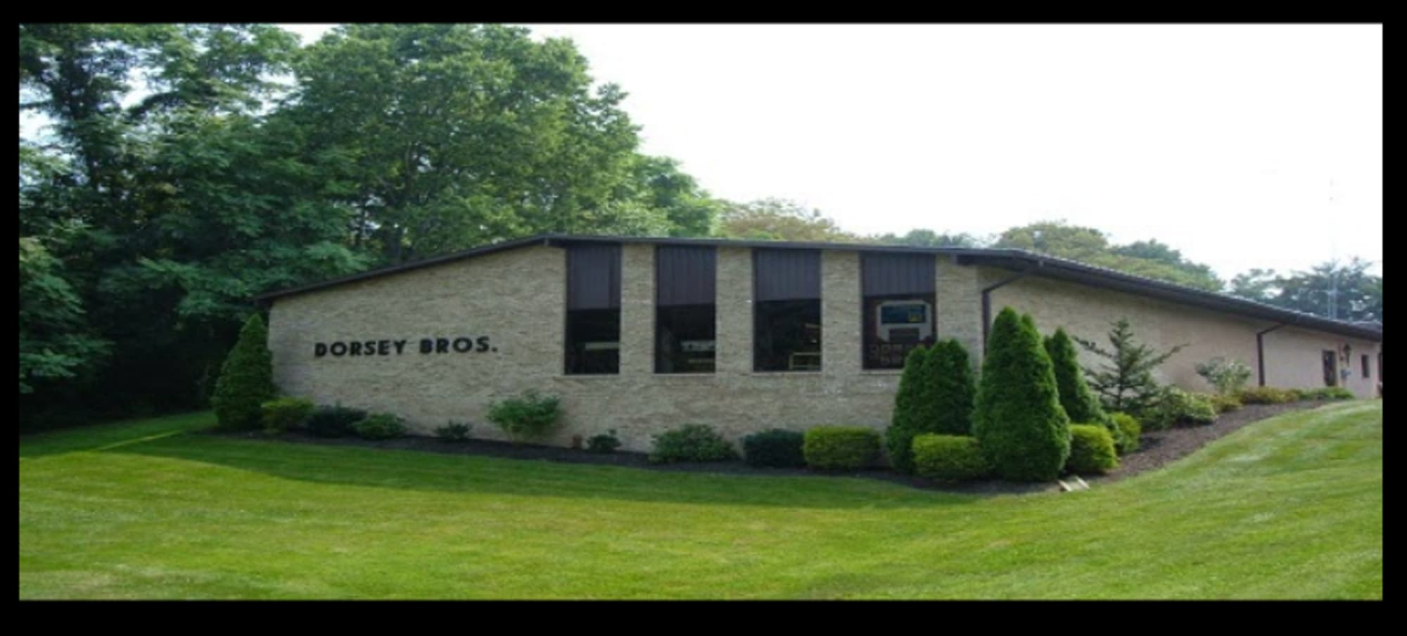 Dorsey Brothers Flooring Floor Roma