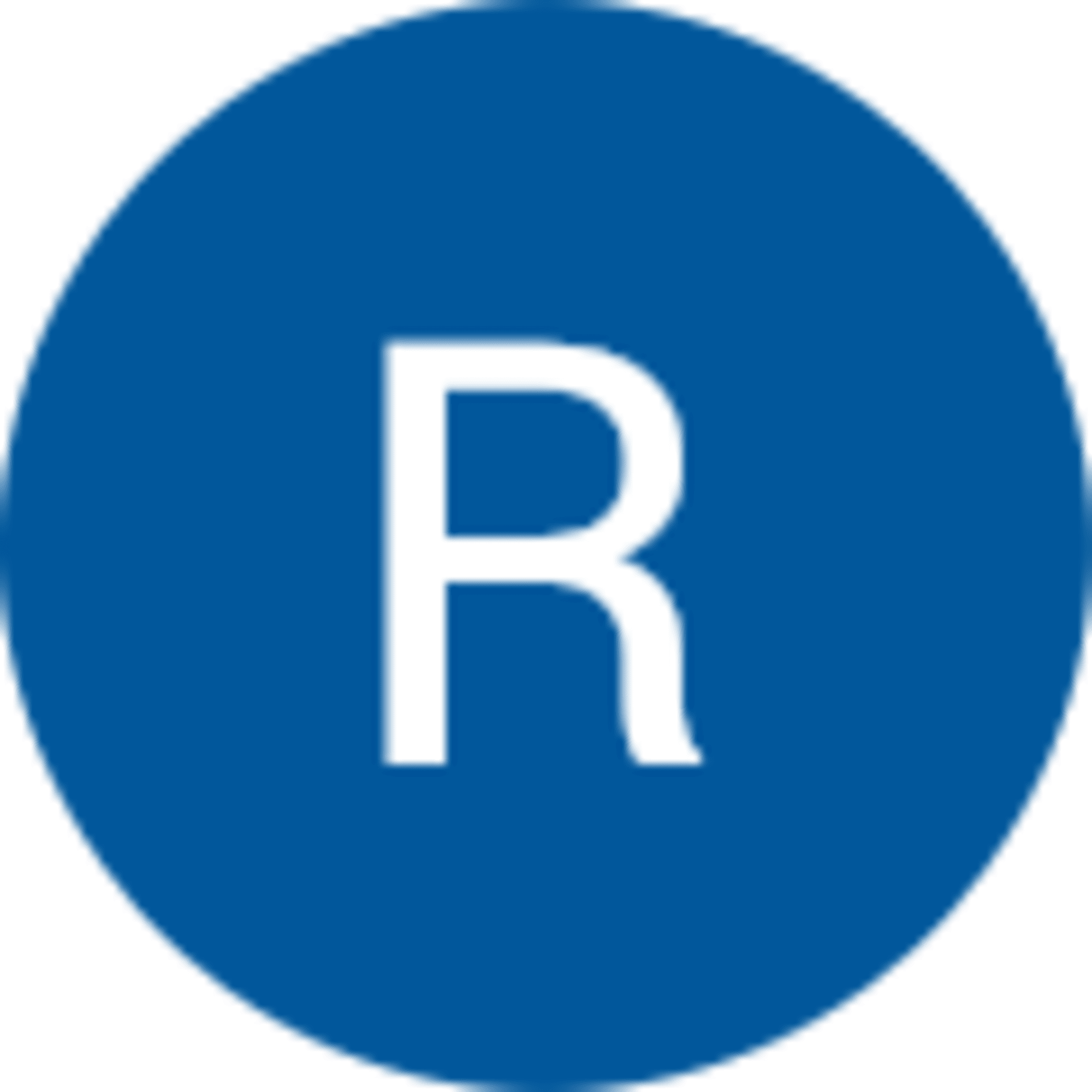 Radka Kubešová avatar