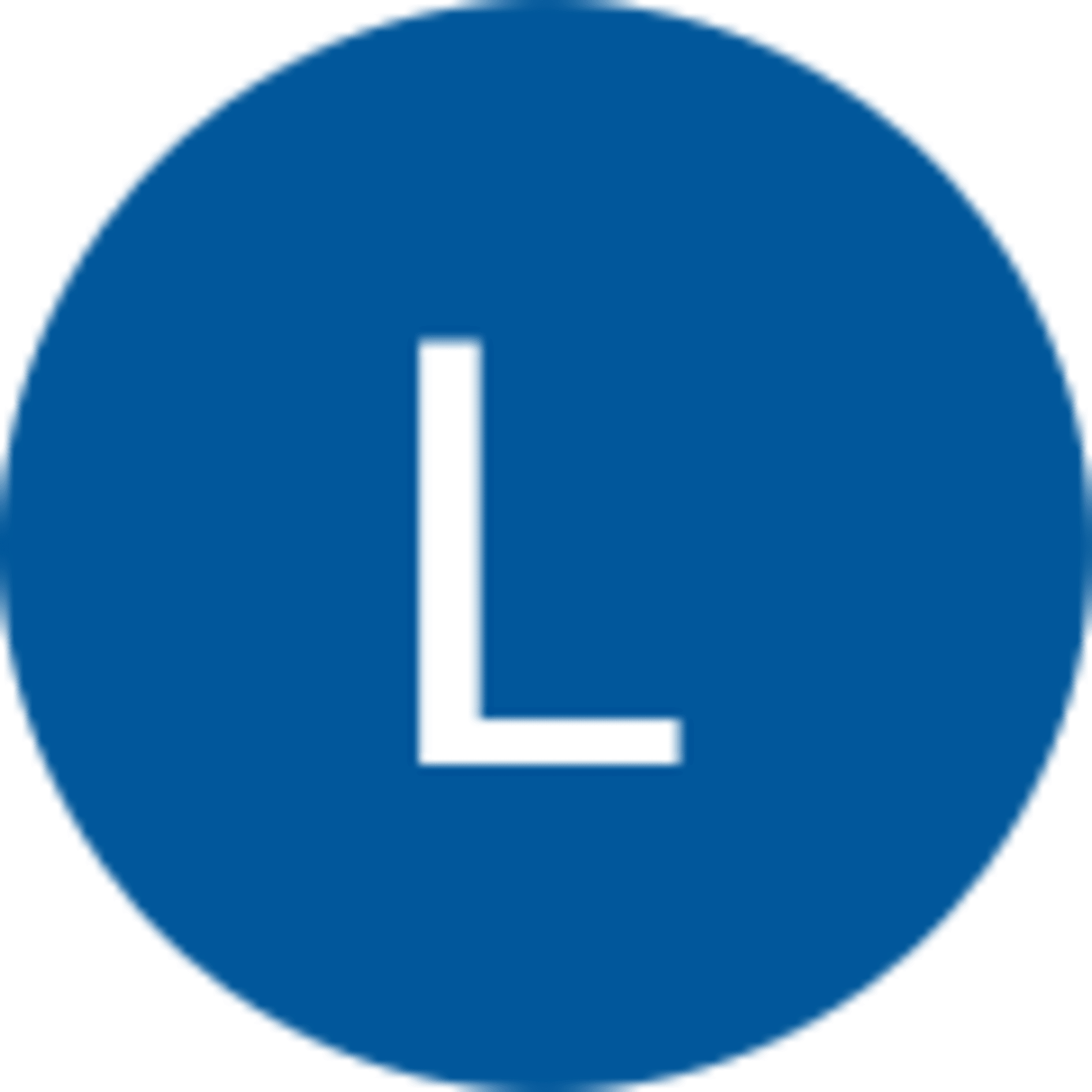 Lisa Skapura avatar