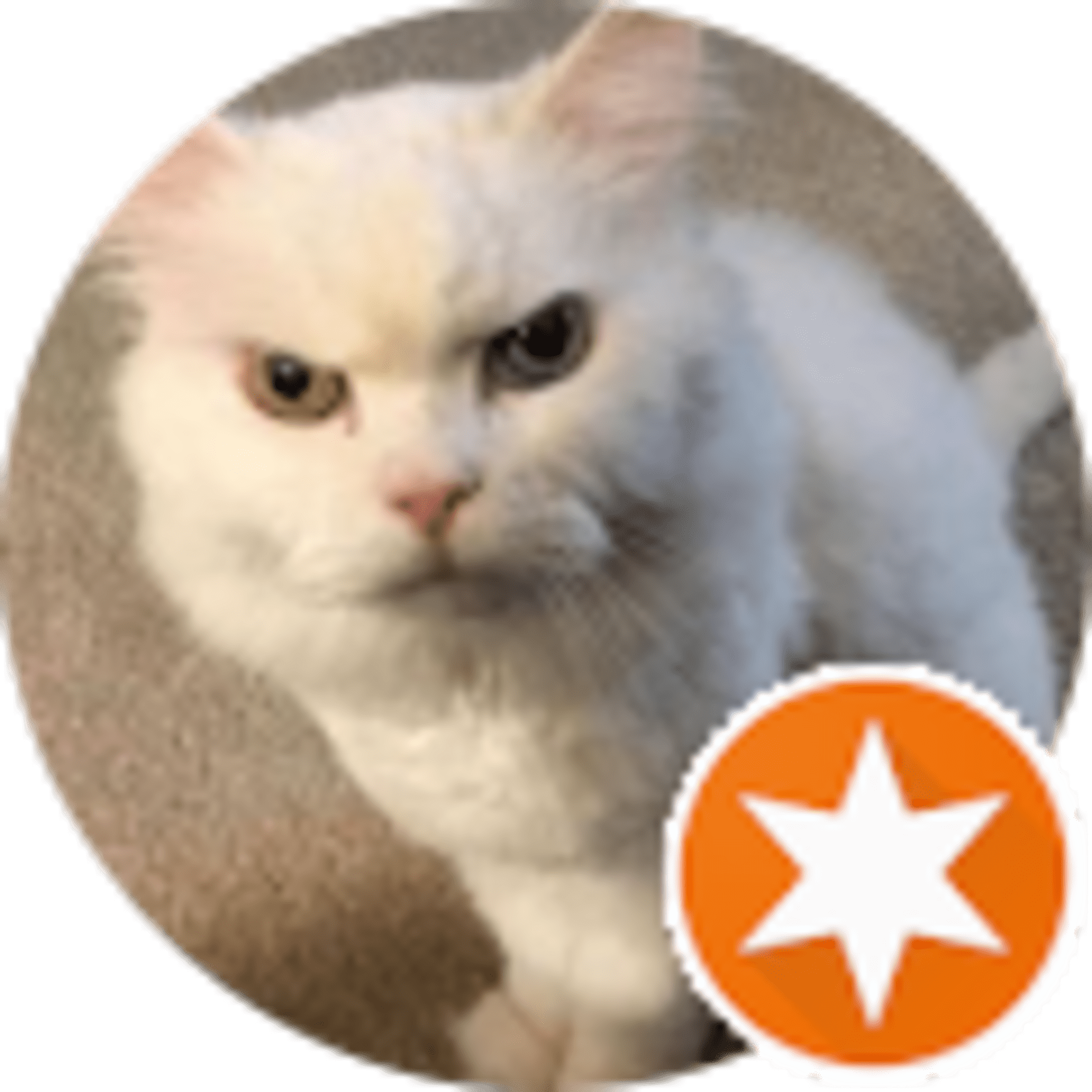 Hap63py avatar