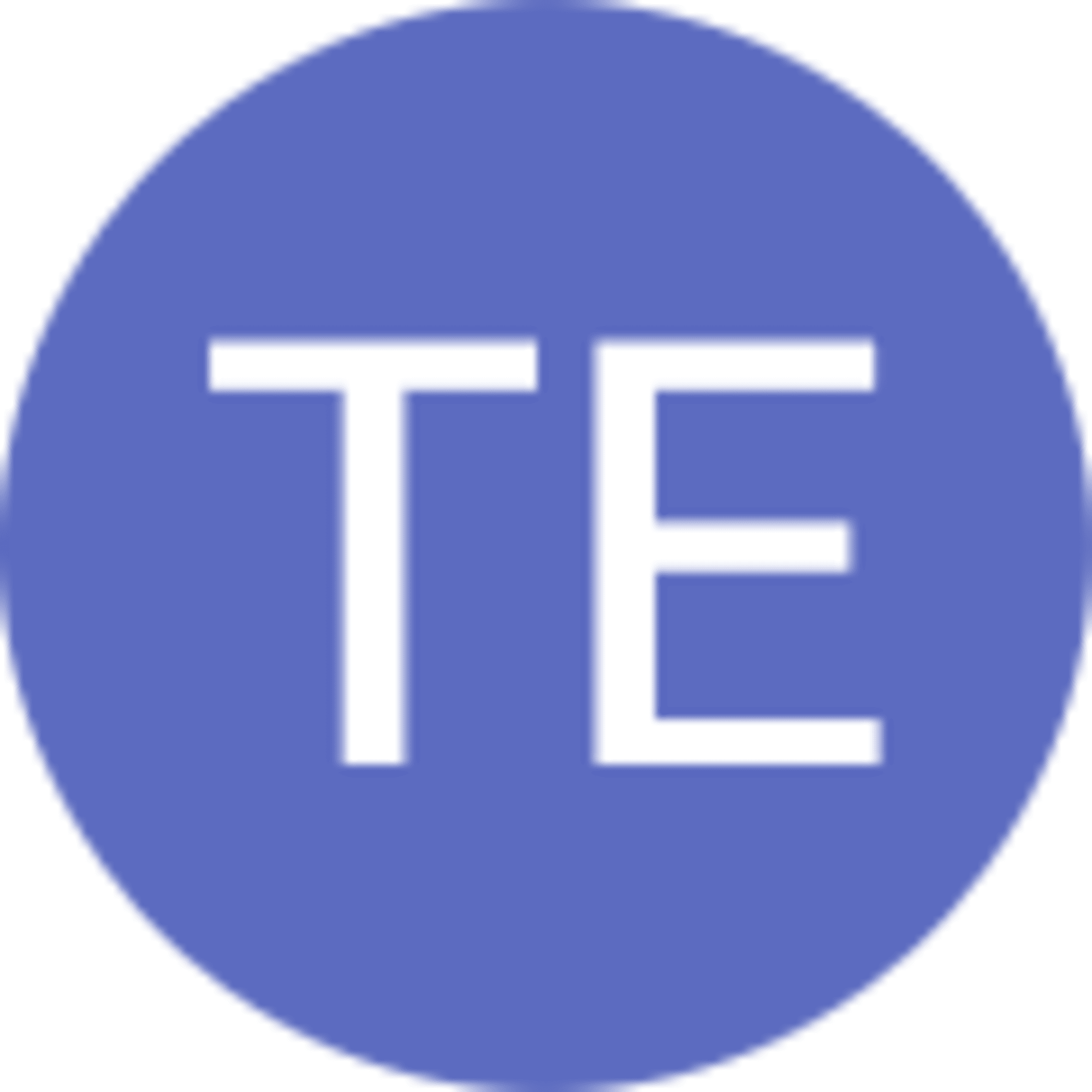 TE Eckstein avatar