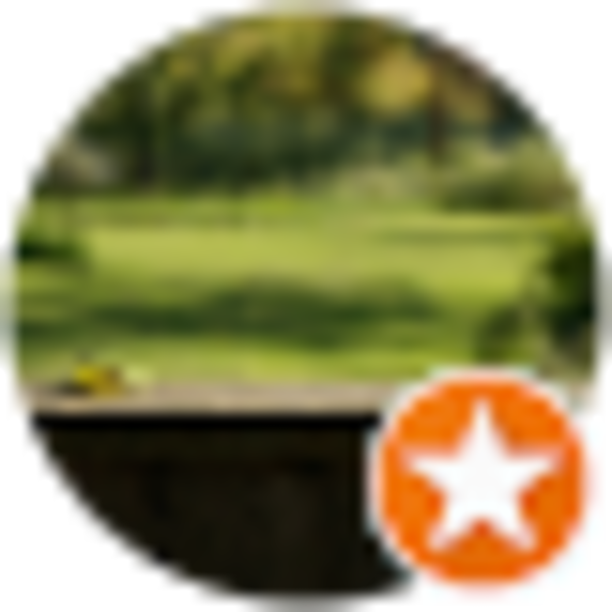T Smith avatar
