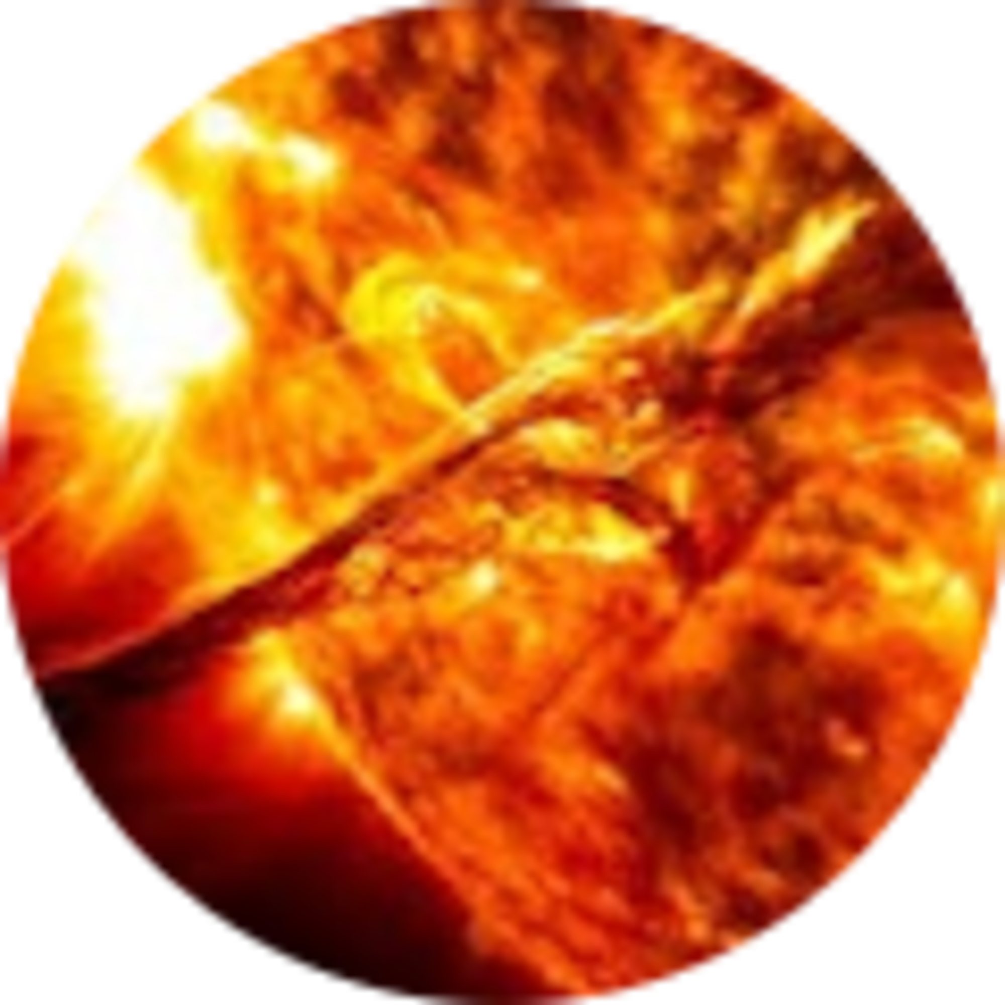 jackson Heller avatar