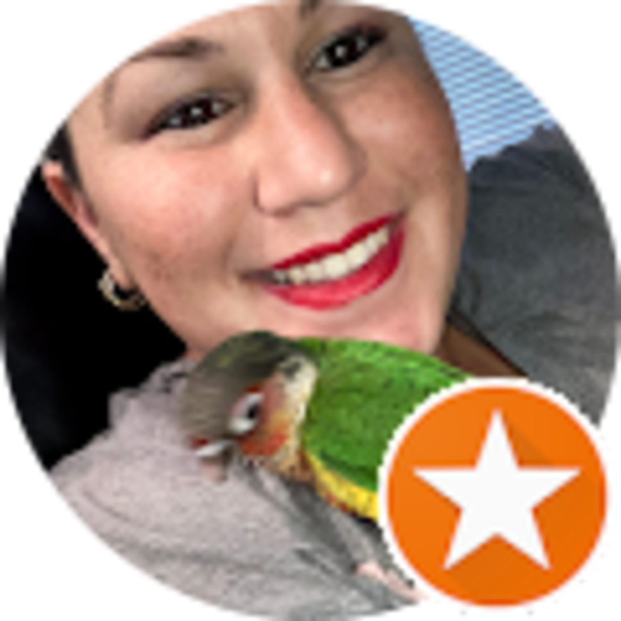 Diana D O avatar