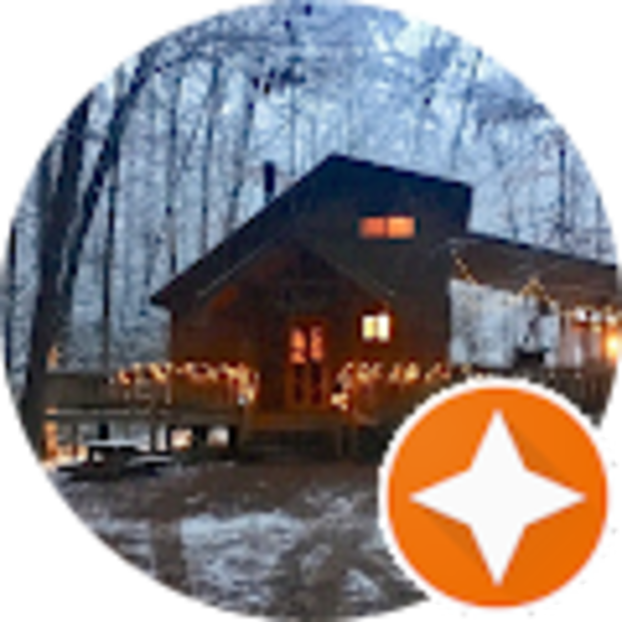 The Bear Affair Cabin Helen Ga avatar