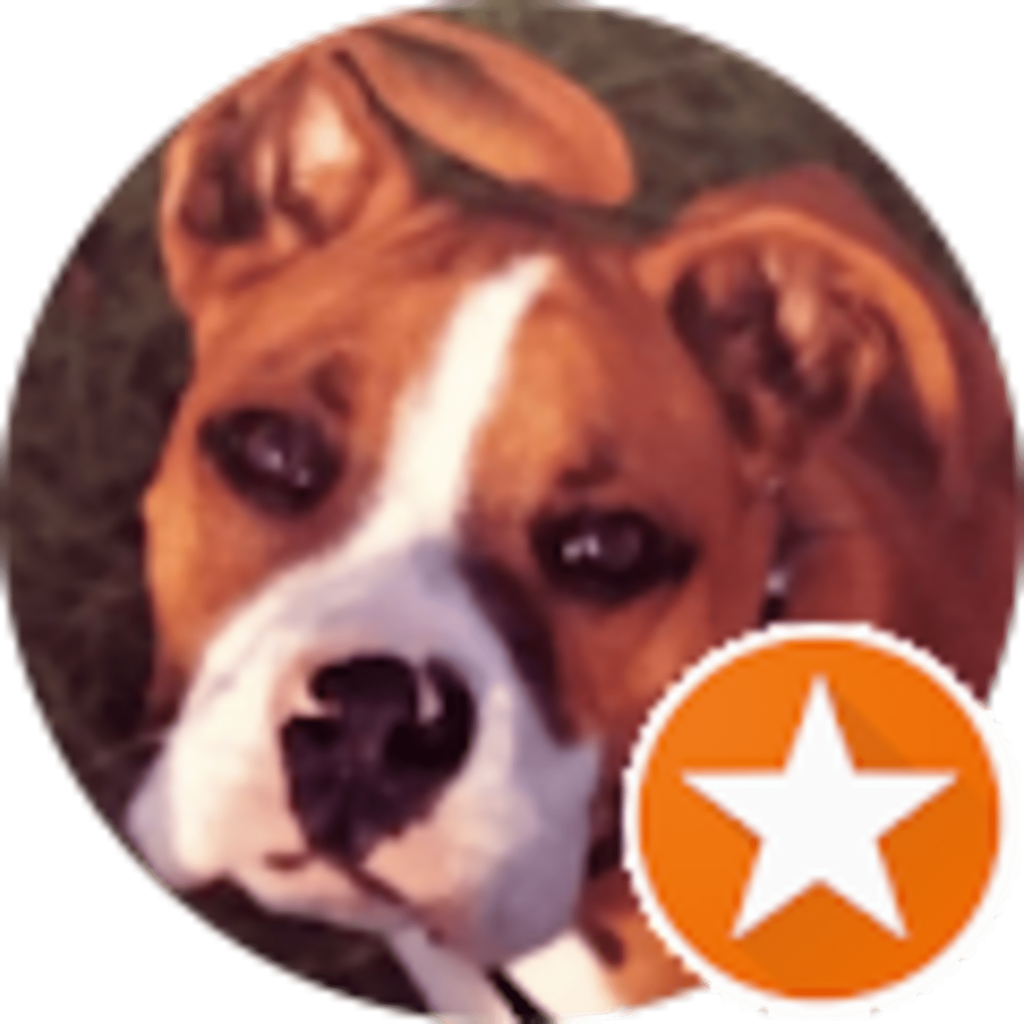 Jennifer Aleshire avatar