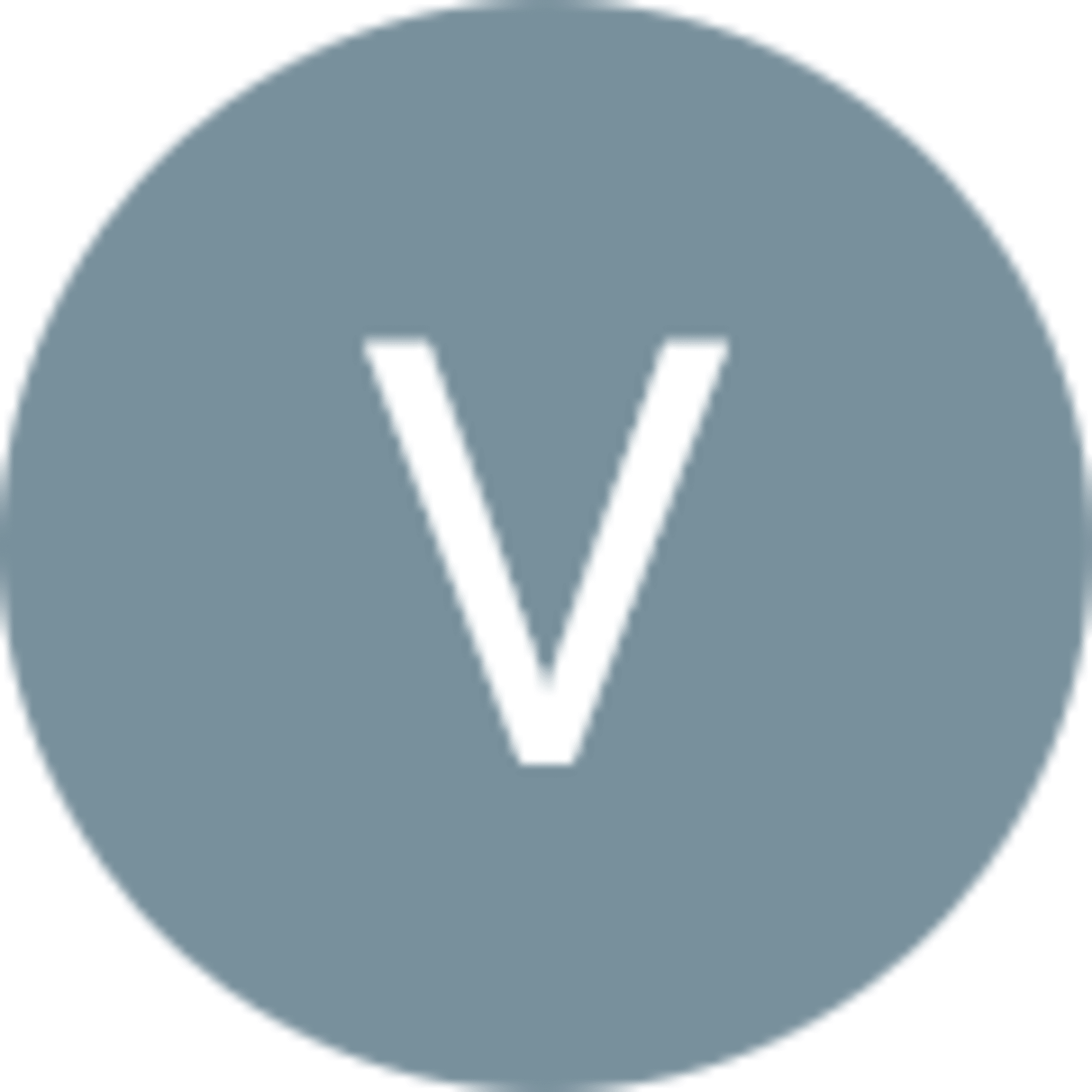 Vinny Ferrari avatar