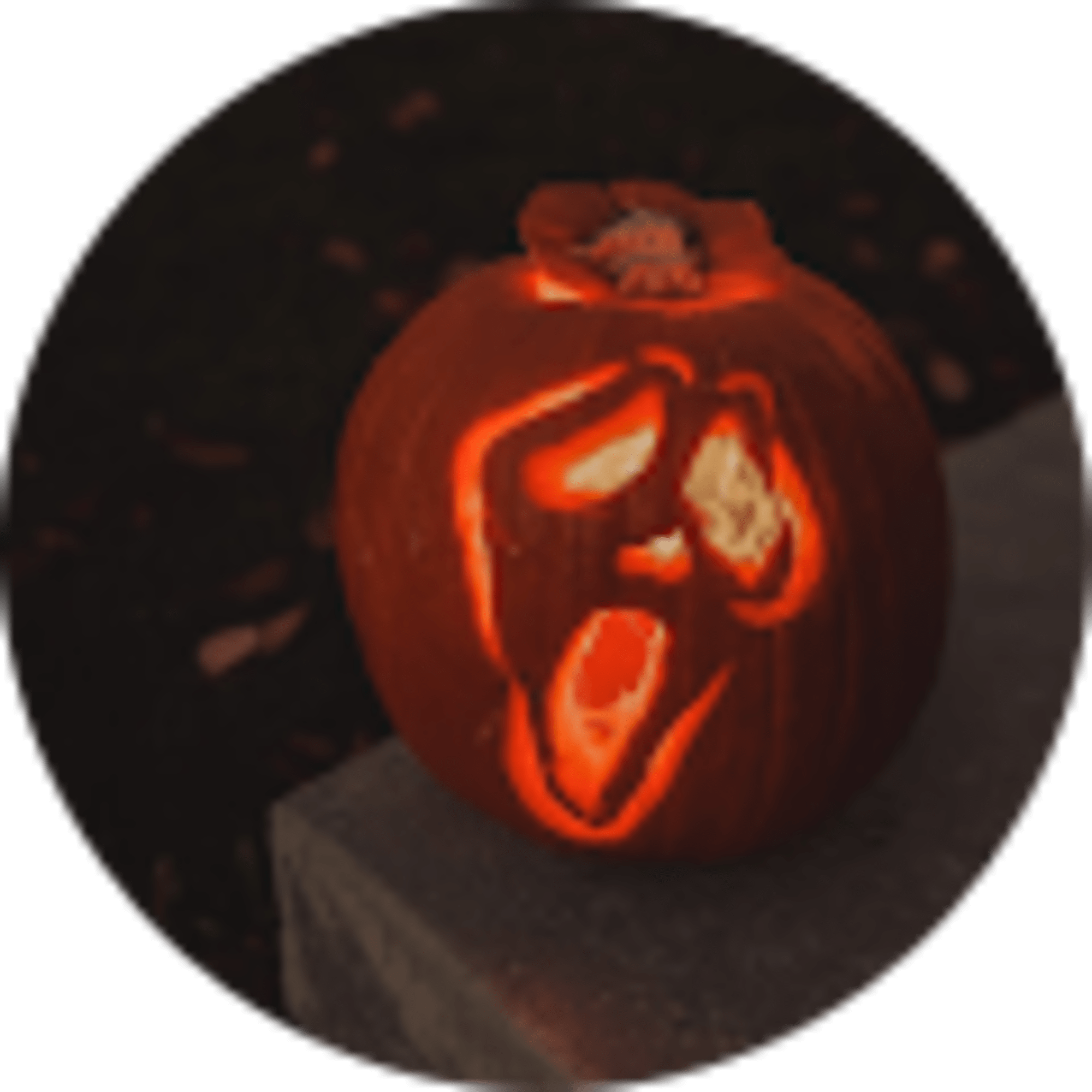Jan Demko avatar