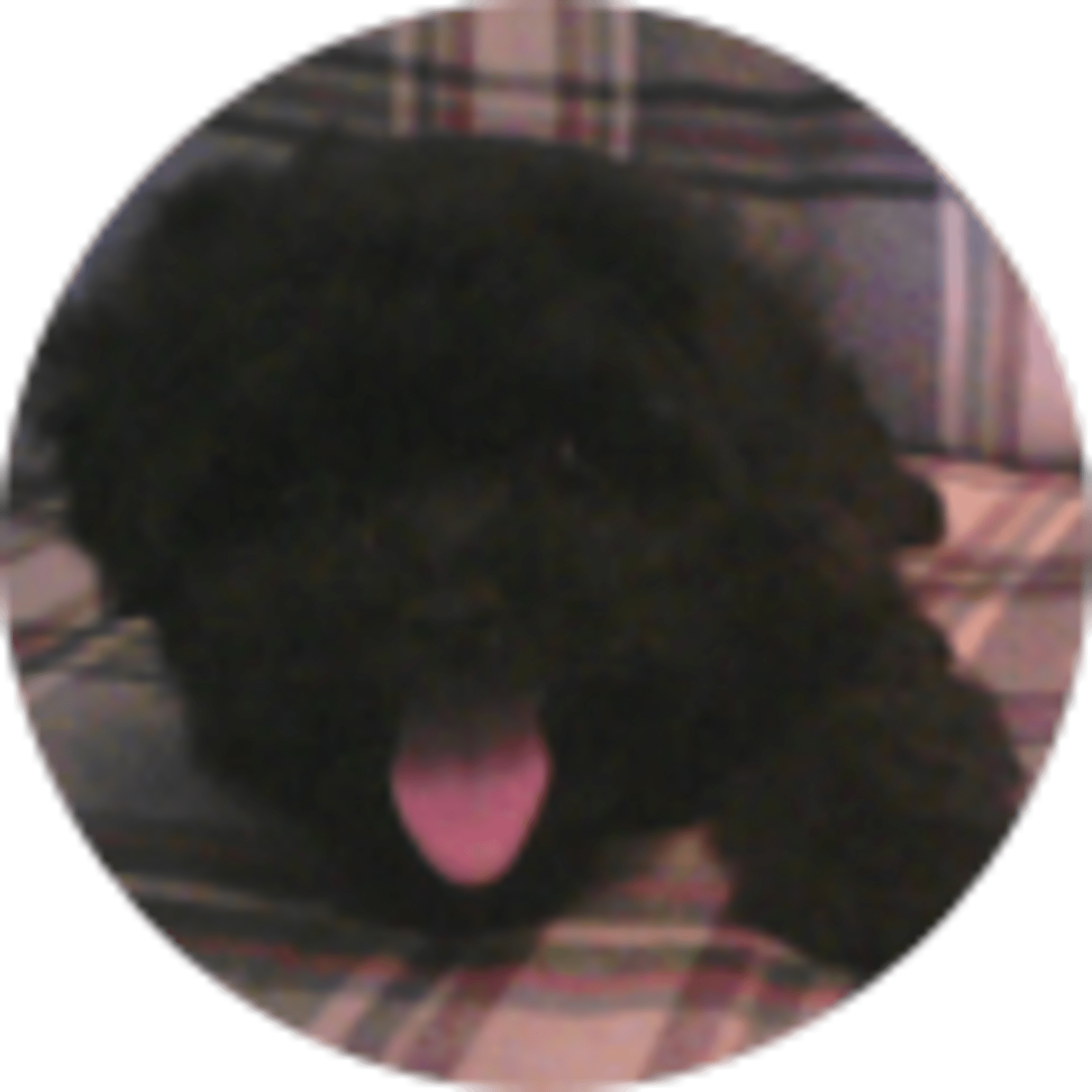 C R avatar