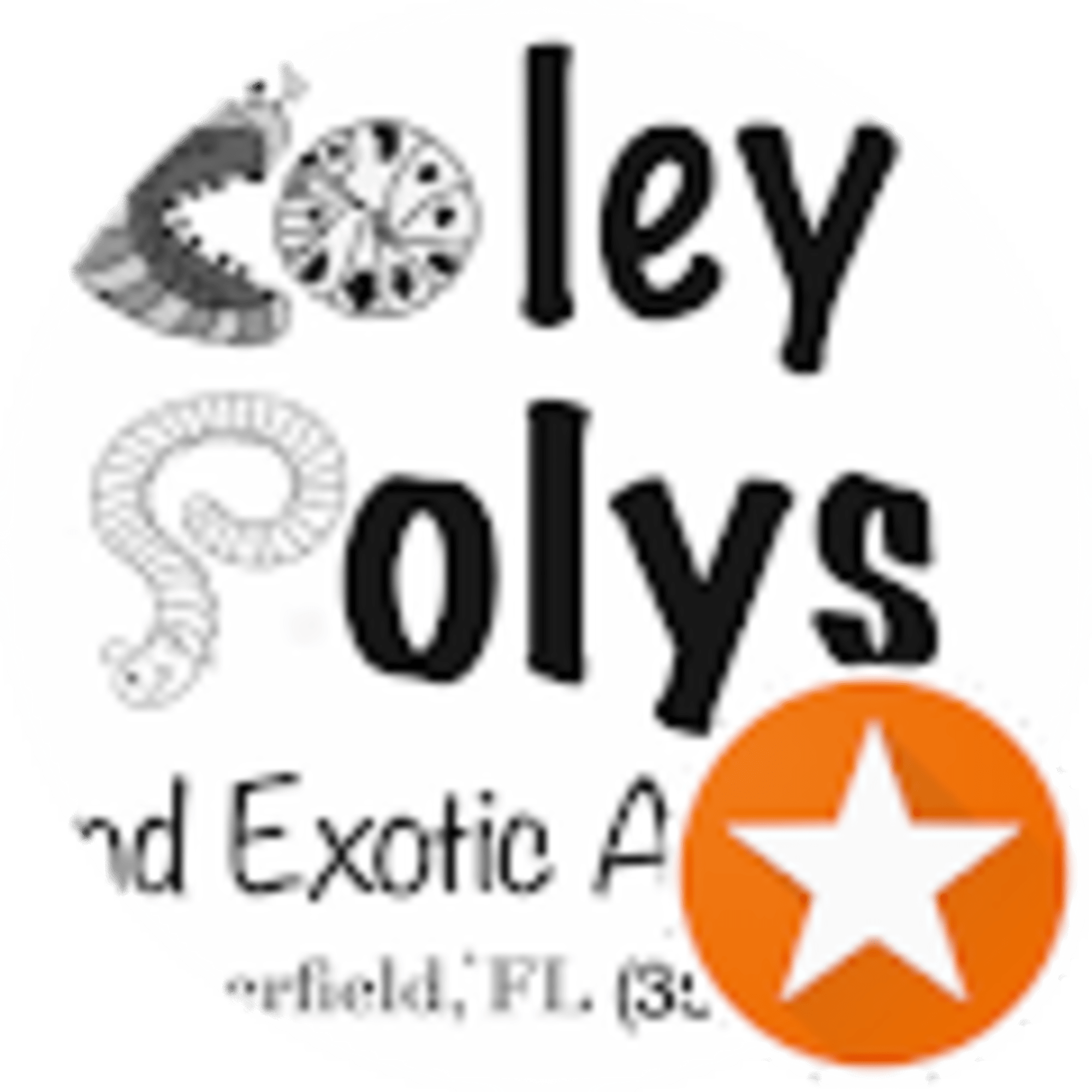 Coley Polys avatar